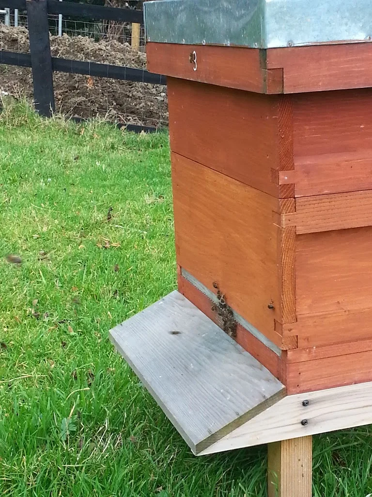 
14 degrees and busy bees  