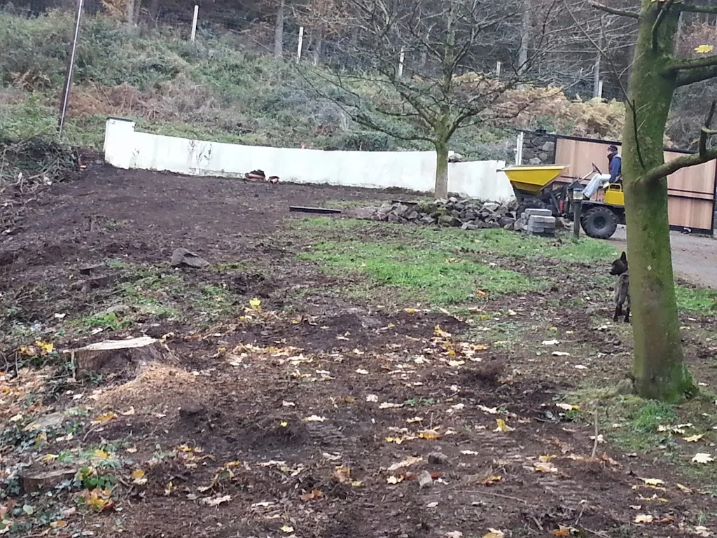 
Stone picking on Saturday  
