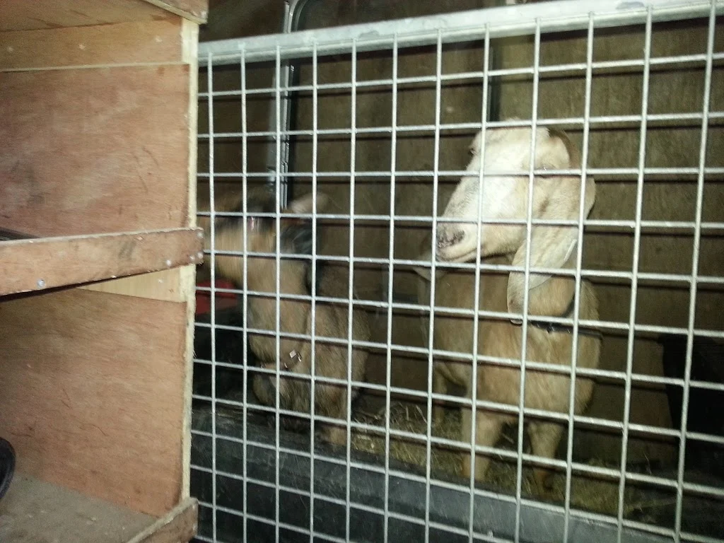 
Blind date in Wexford  