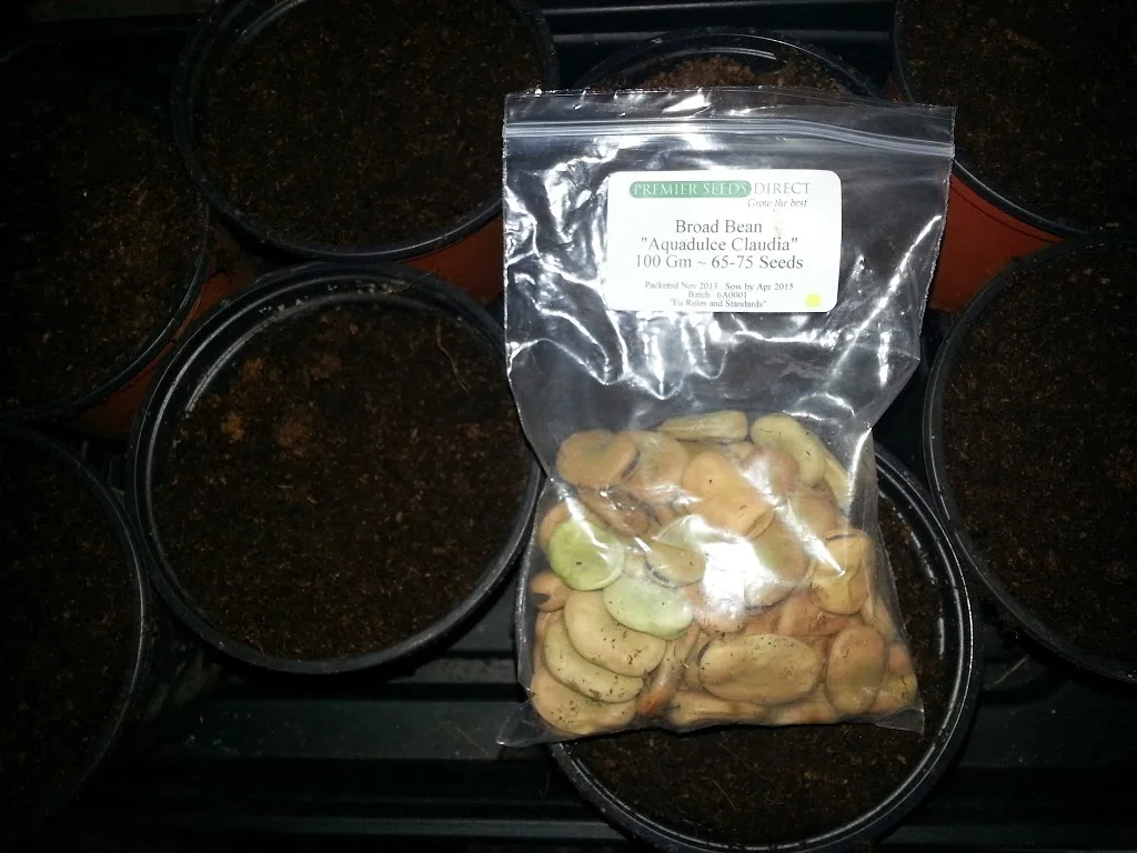 
Broad beans and peas  