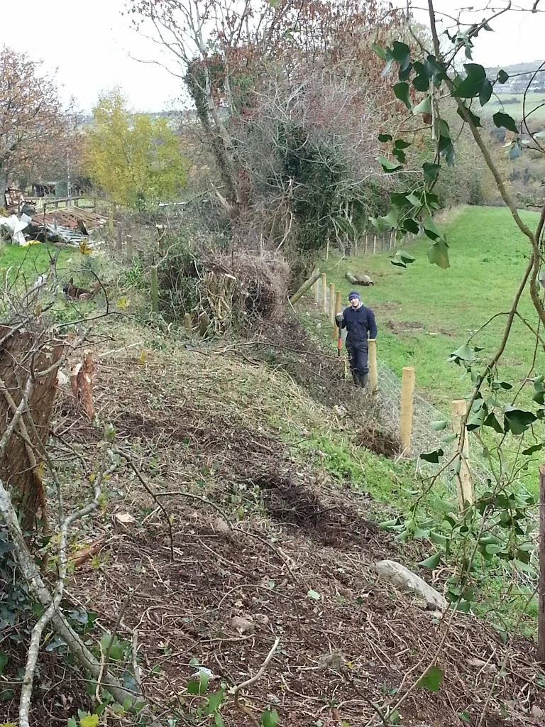 
Clearing out the boundary  