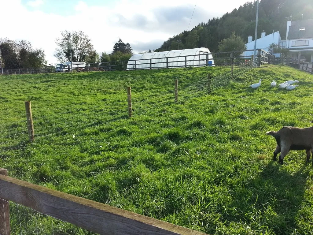 
A new little paddock  