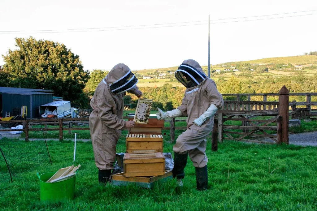 
A Word From A WWOOFer  