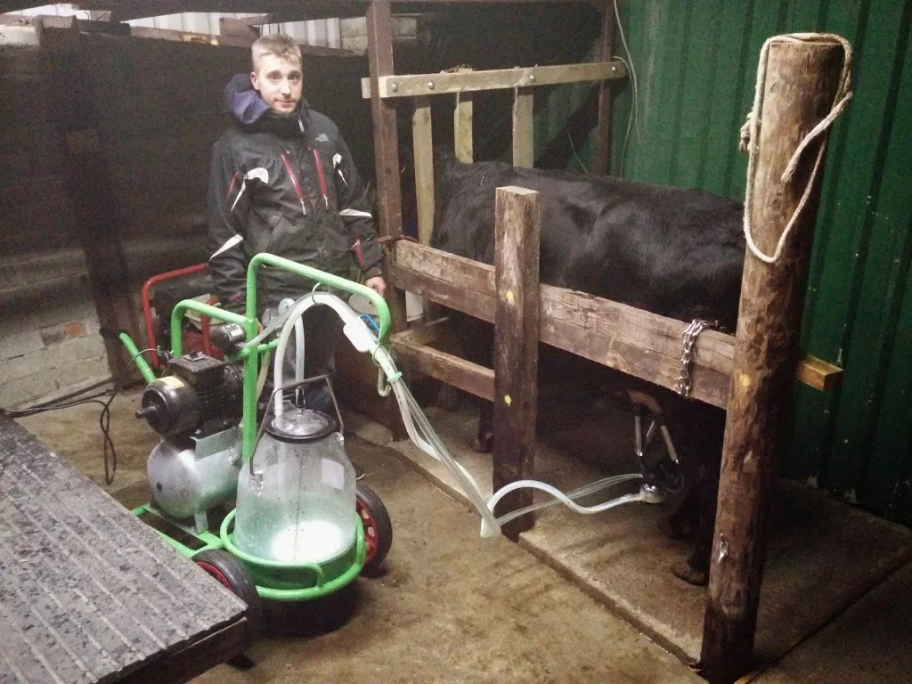 
Let the milking begin  