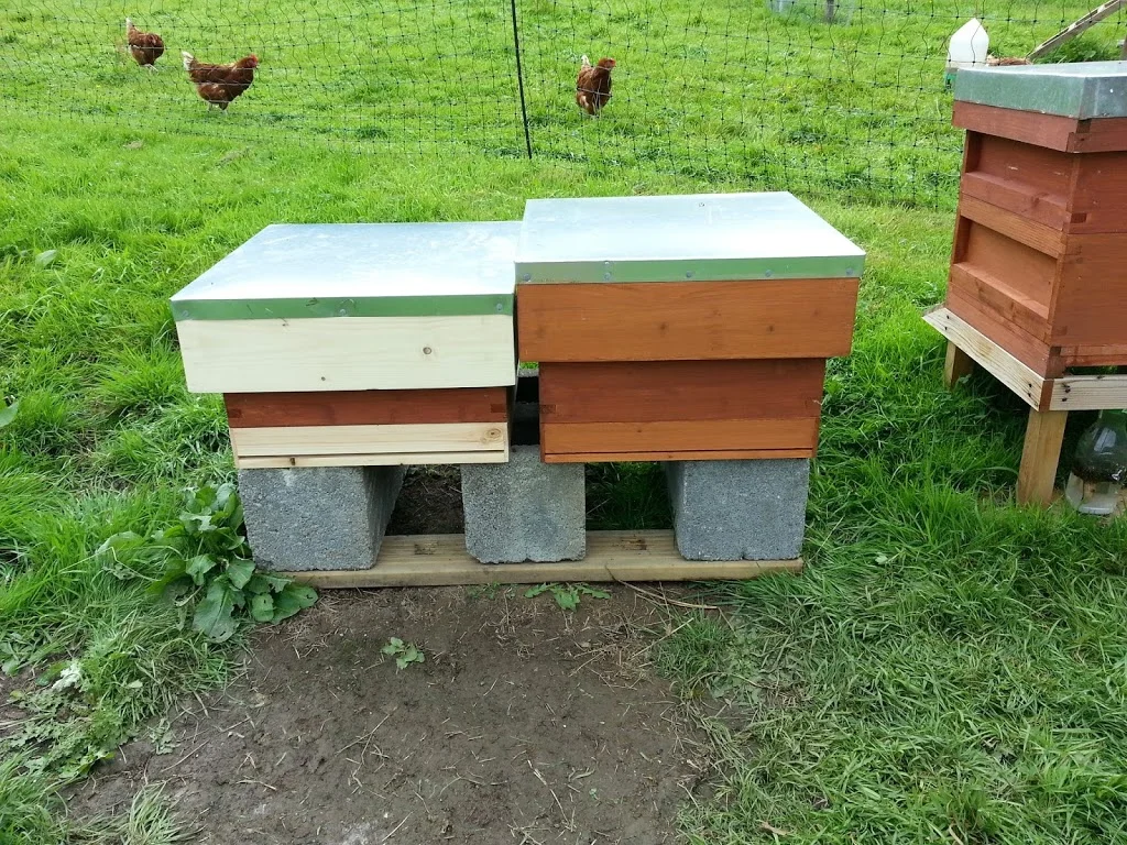 
Too late for a split?  