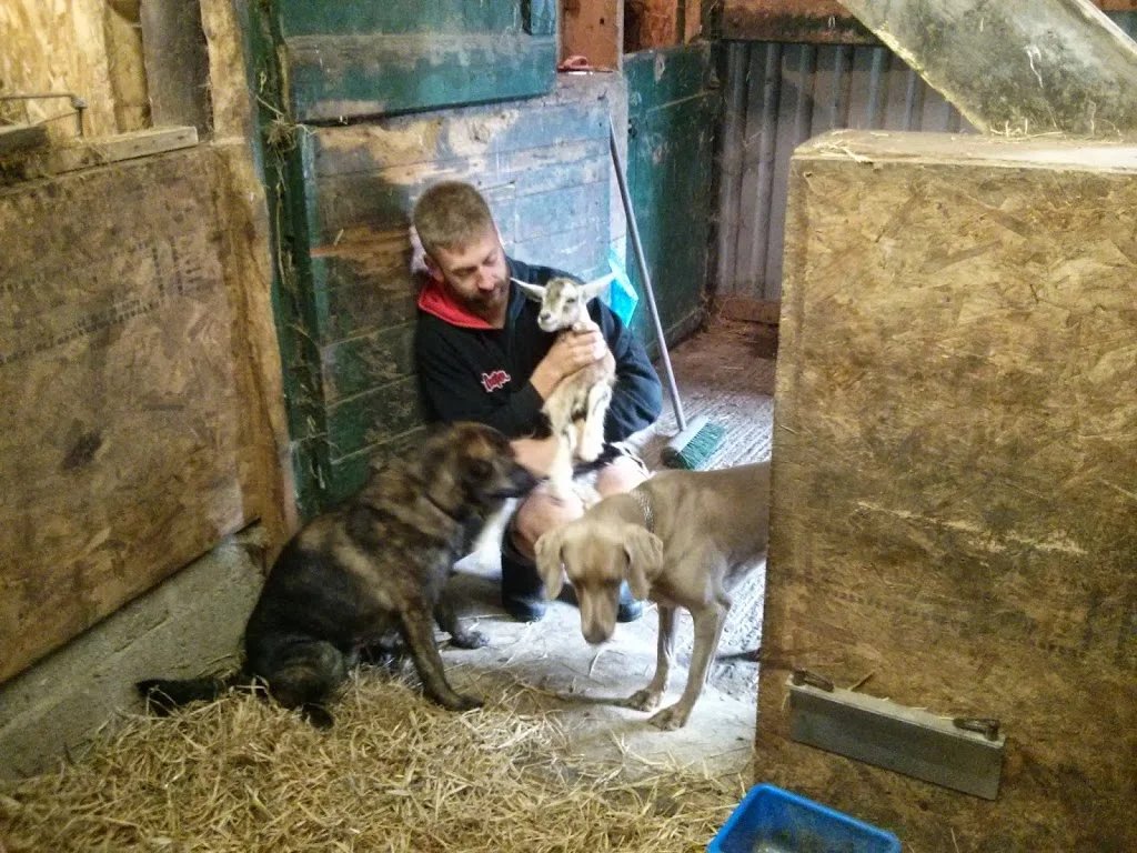 
Archie shows no fear  