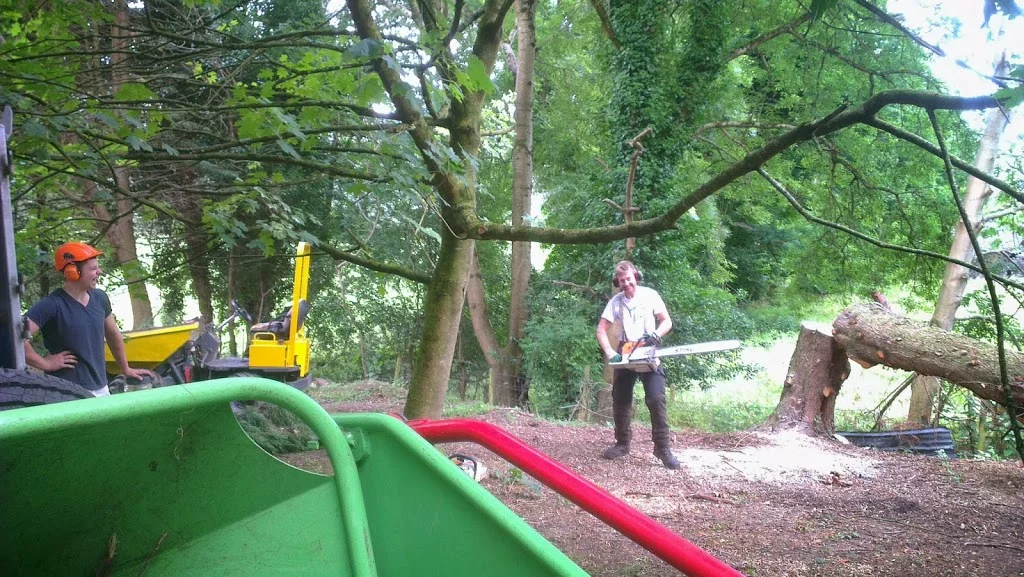 
Tree felling with Chris & Stafford  