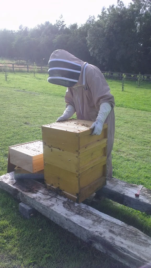 
Bees building up nicely  