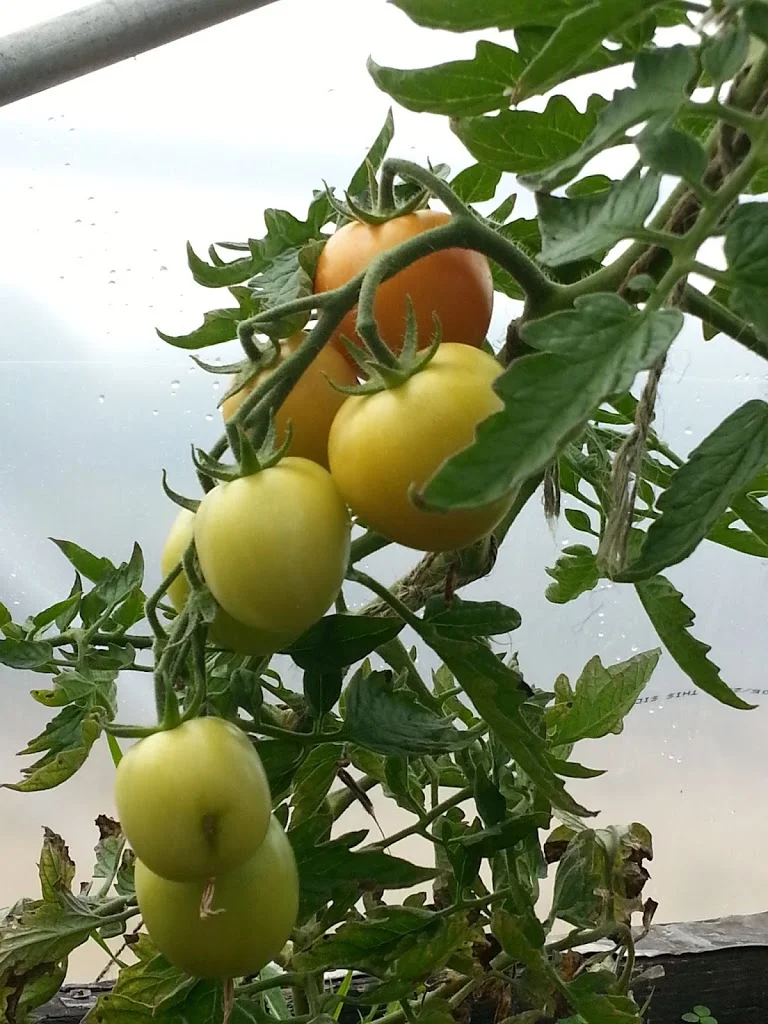 
A peek inside the tunnel  