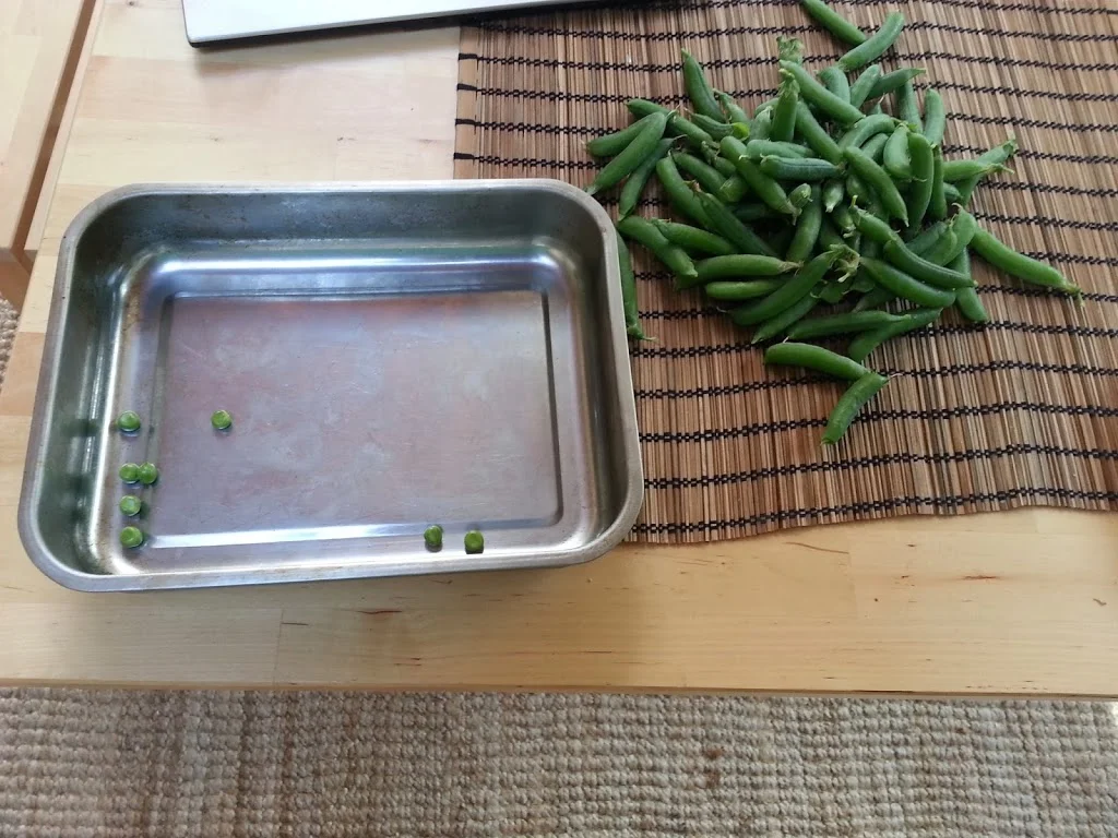 
Garden peas  