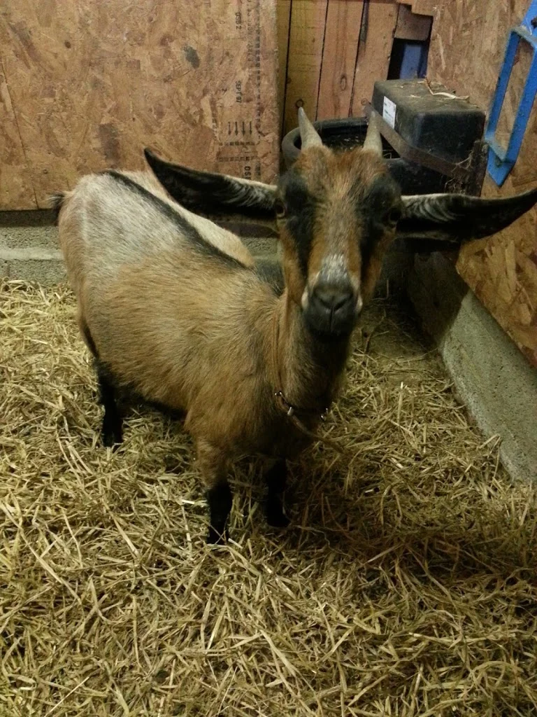 
Darcy and her kid say hello  