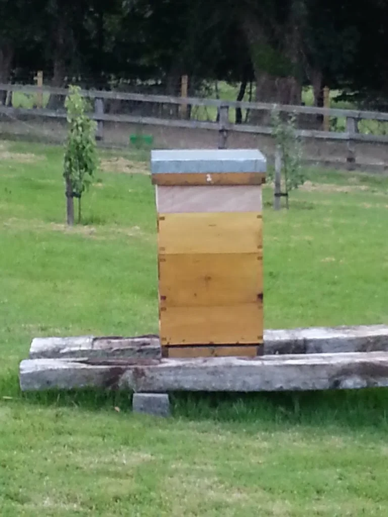 
Bee Hive No. 2  