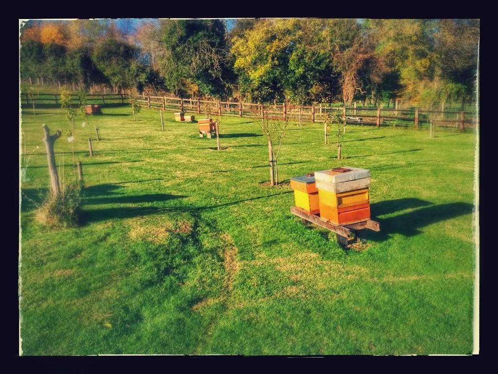 
Beautiful sunny day for the 2nd of November...  