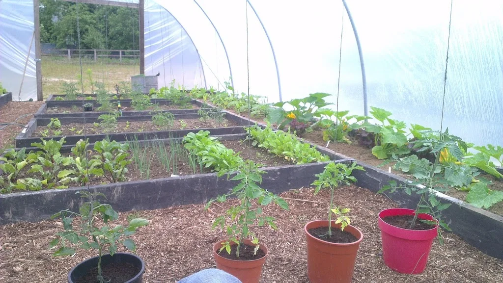 
tunnel progress pics  