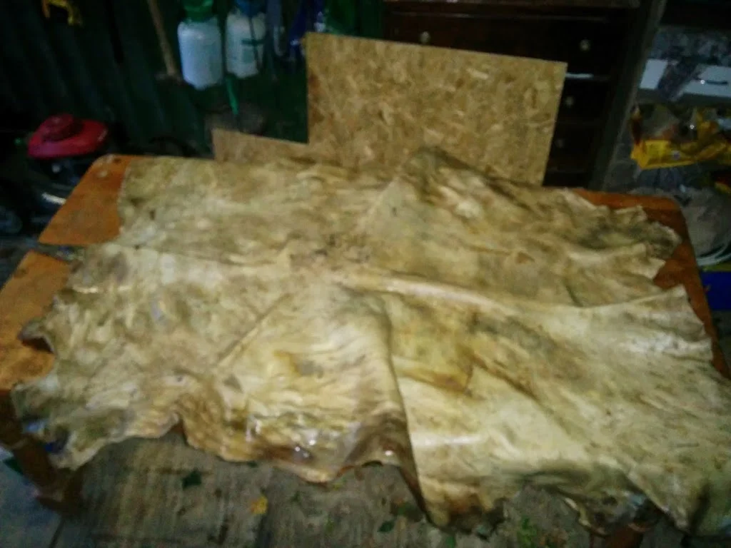 
Cow-hide update  
