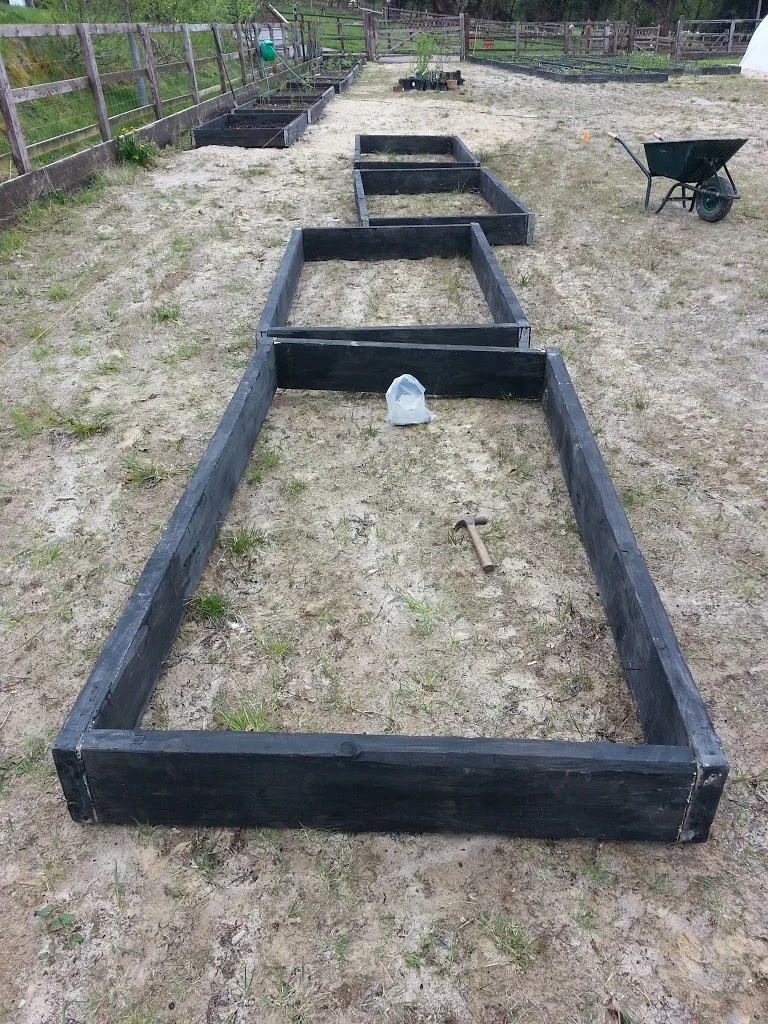 
Veg garden got a great leap forward  