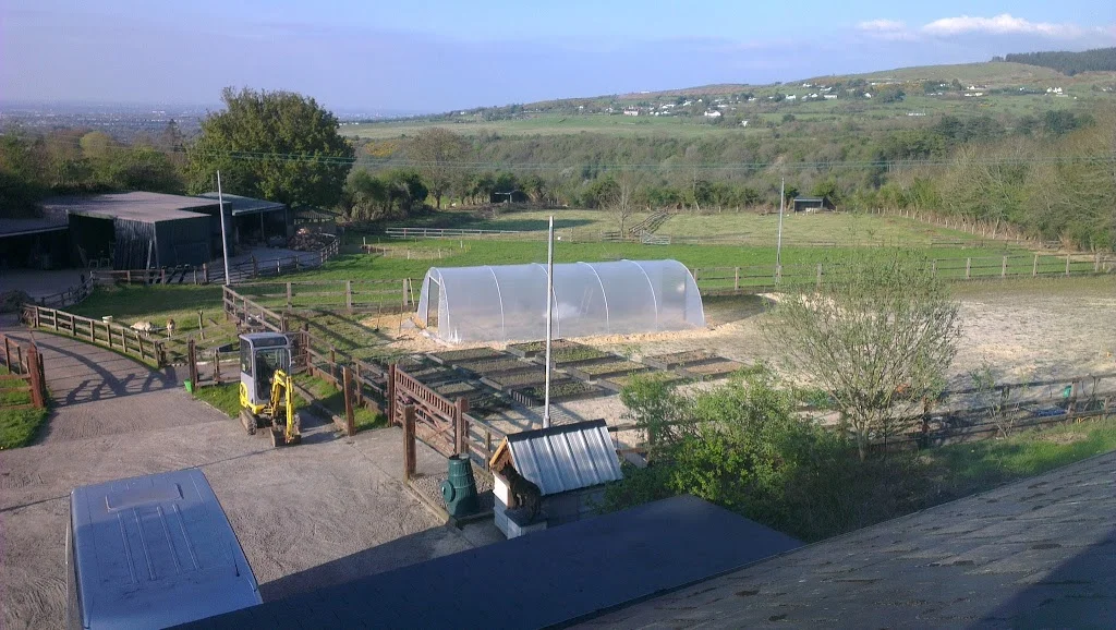 
Polytunnel from the bedroom  