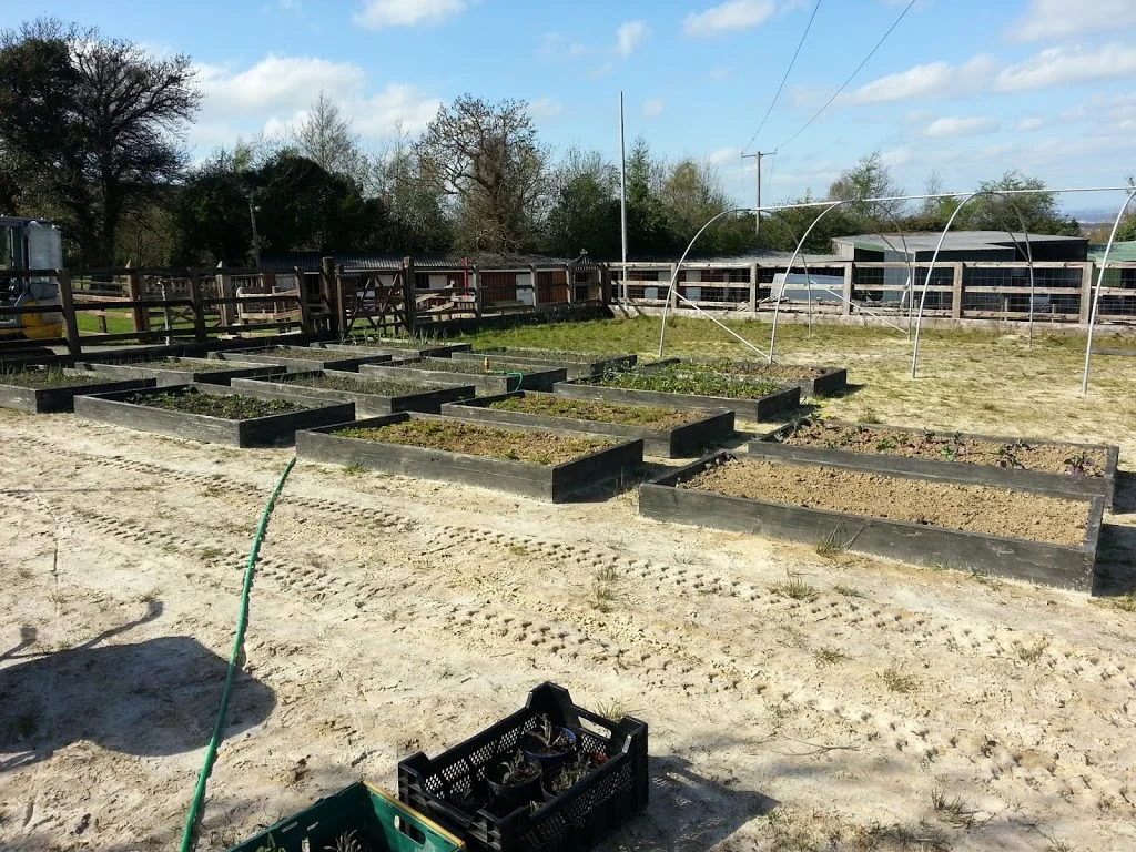 
covering the polytunnel  