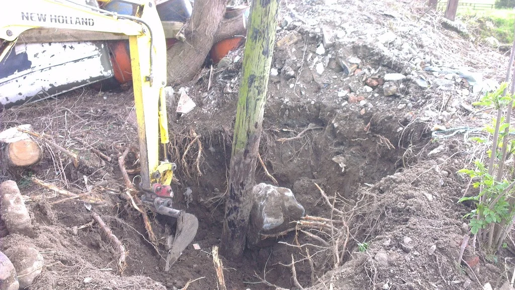 
Telephone post removal  