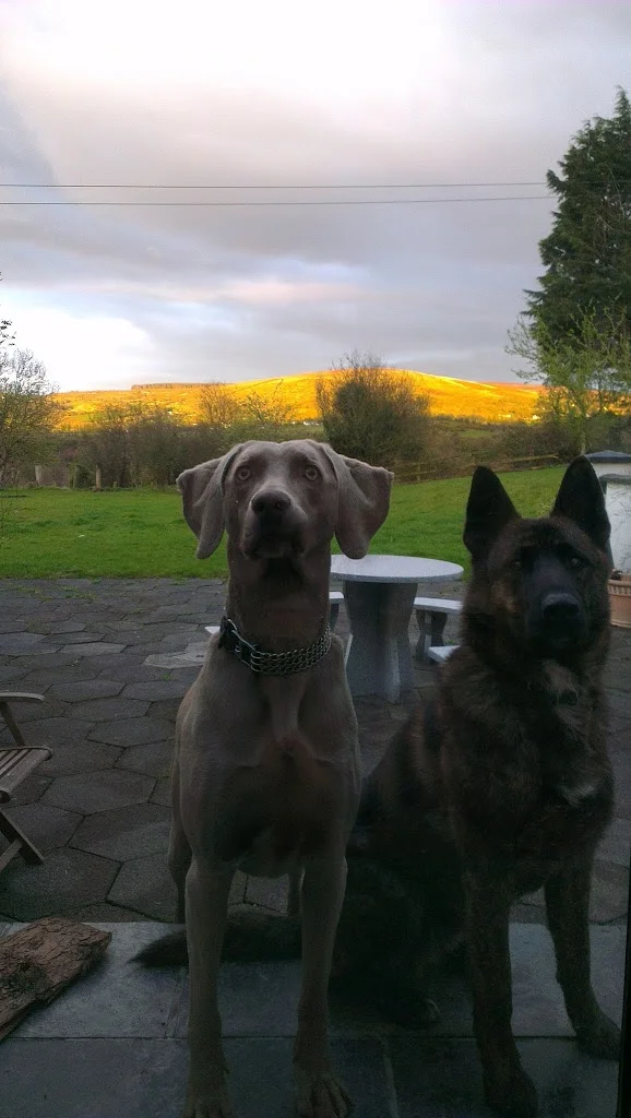 
Nearly dark but sunny on the hills  