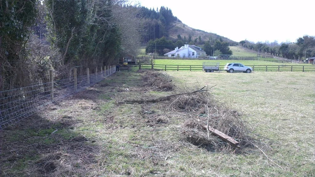 
Bottom fields fenced  