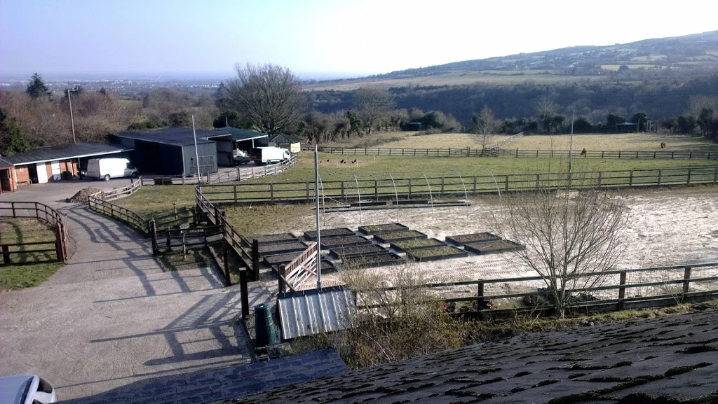 
Veg garden from the bedroom  