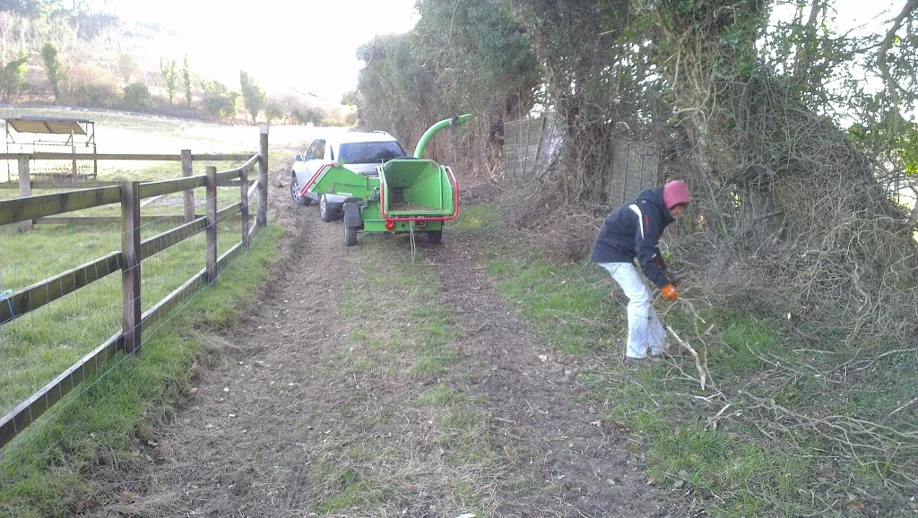 
Ditch pruning and chipping  