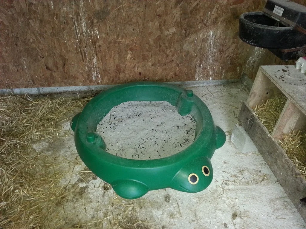 
New dust bath for the hens  