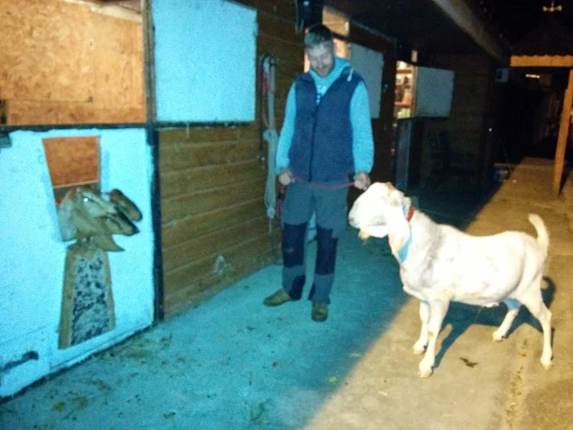 
Sneachta here for a few weeks  