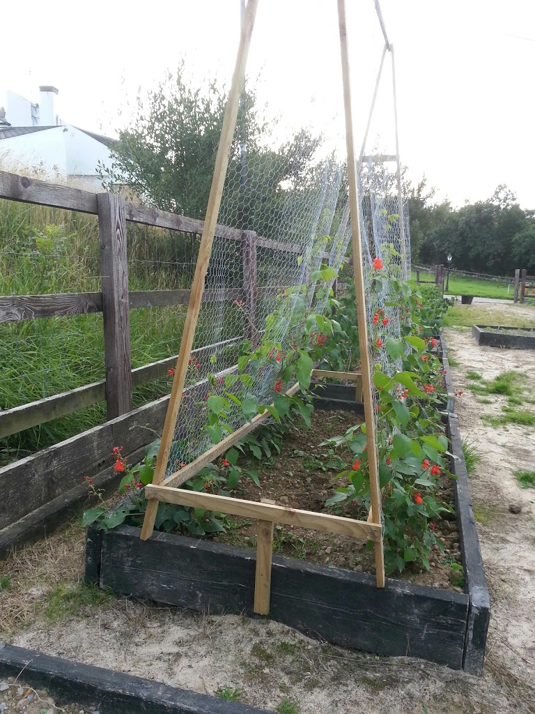20130820_200537.jpg