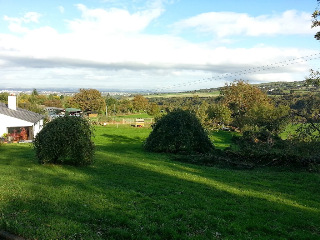 2013-10-24-12.46.37.jpg
