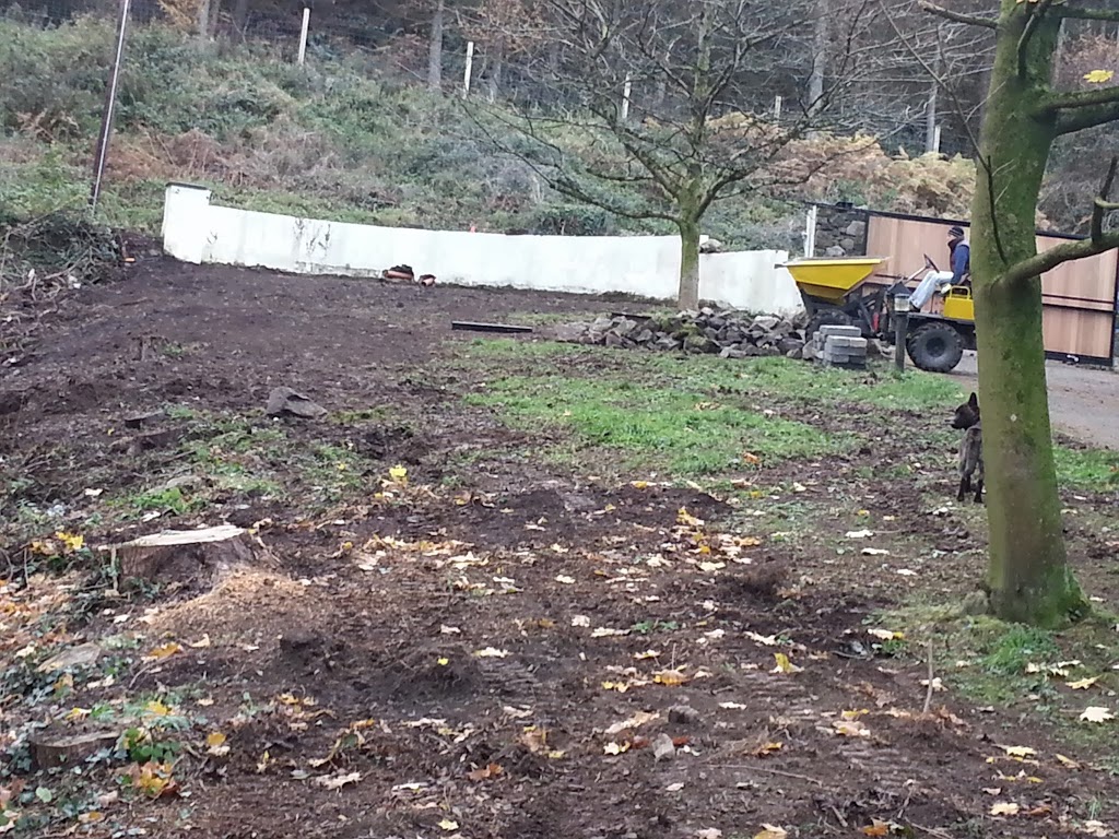 2013-11-23-12.29.25.jpg