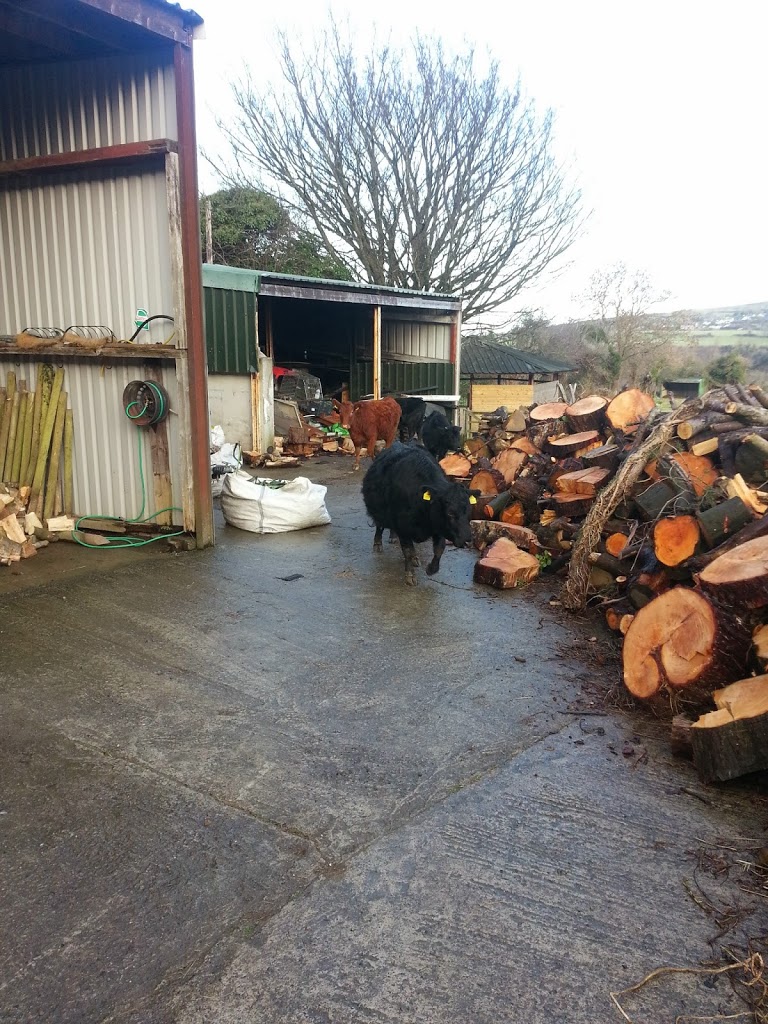 2013-12-26-13.39.21.jpg