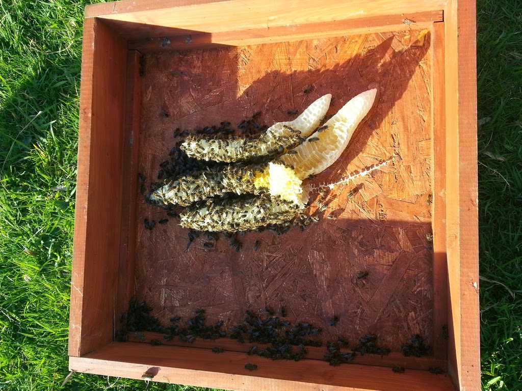 20140415_173154.jpg