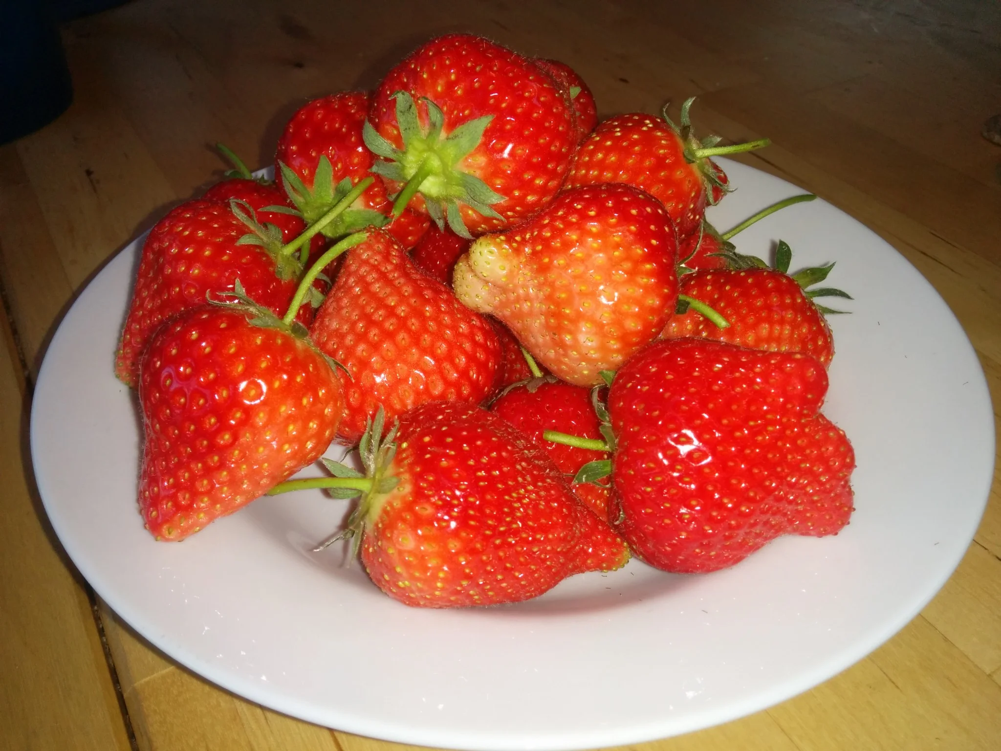 2015-05-18-20.19.55.jpg