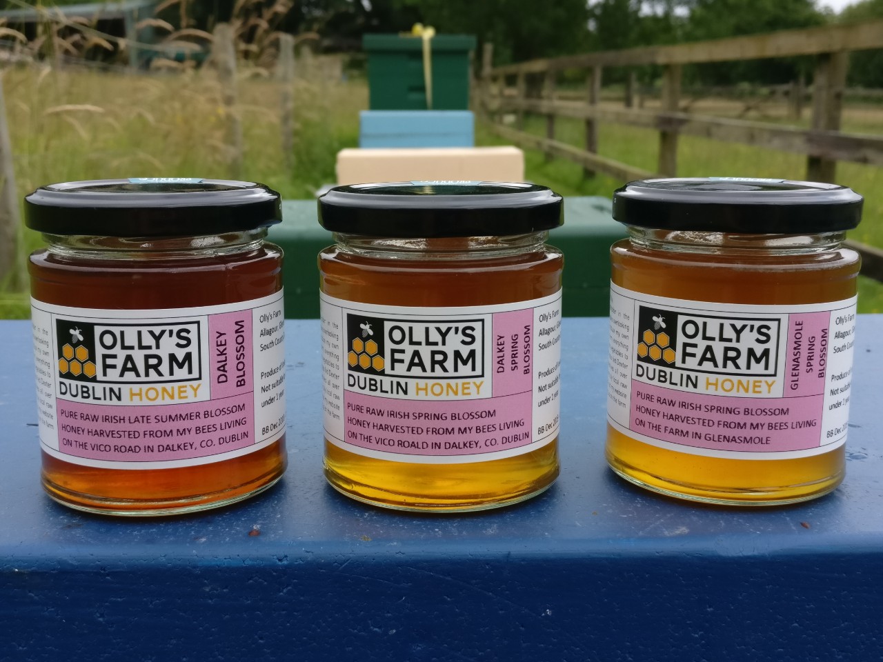 three-jars-of-finished-honey.jpg