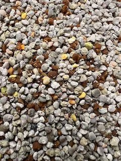 Bee Pollen