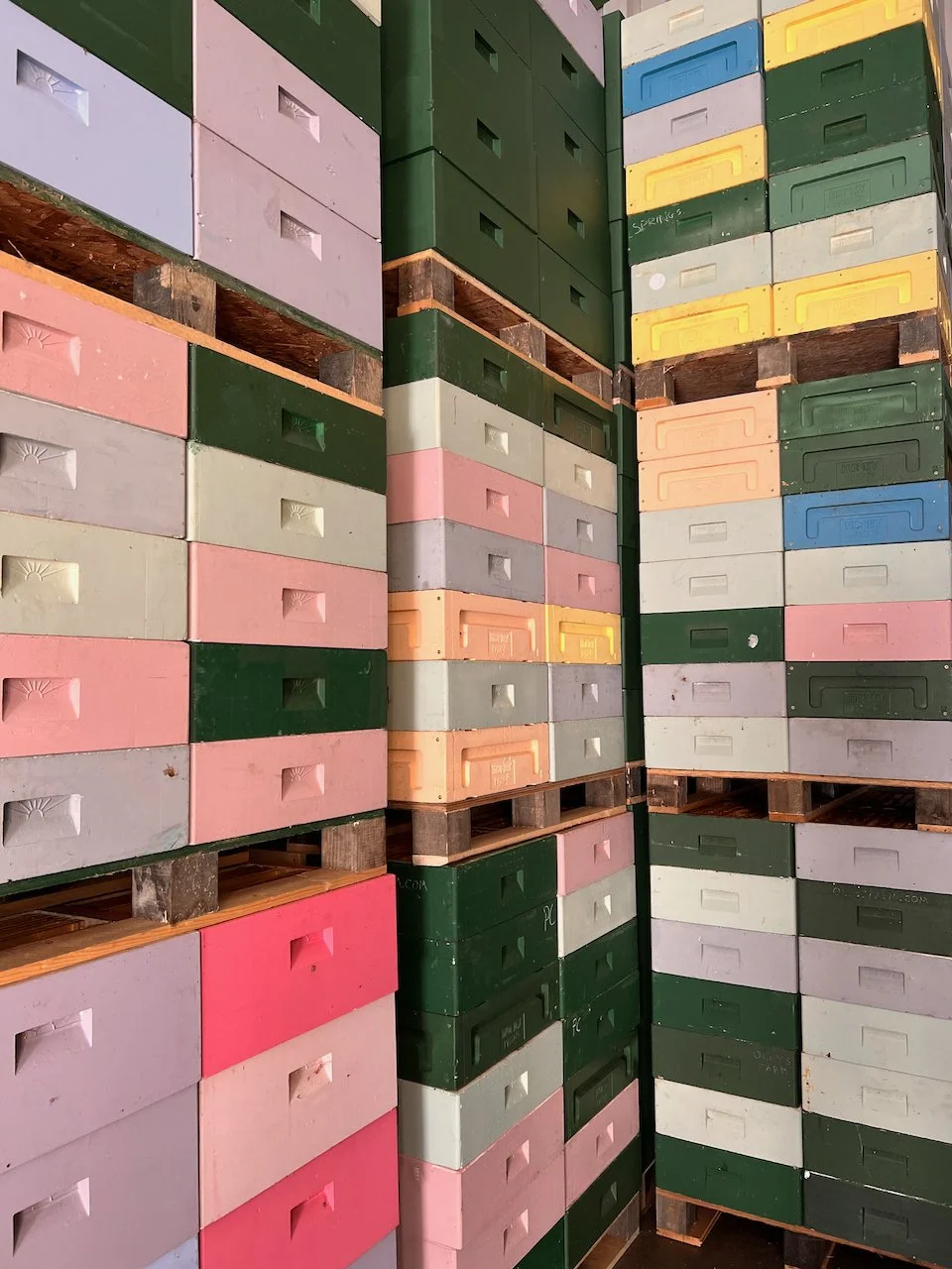 We're hiring! Looking for a career in bee farming?