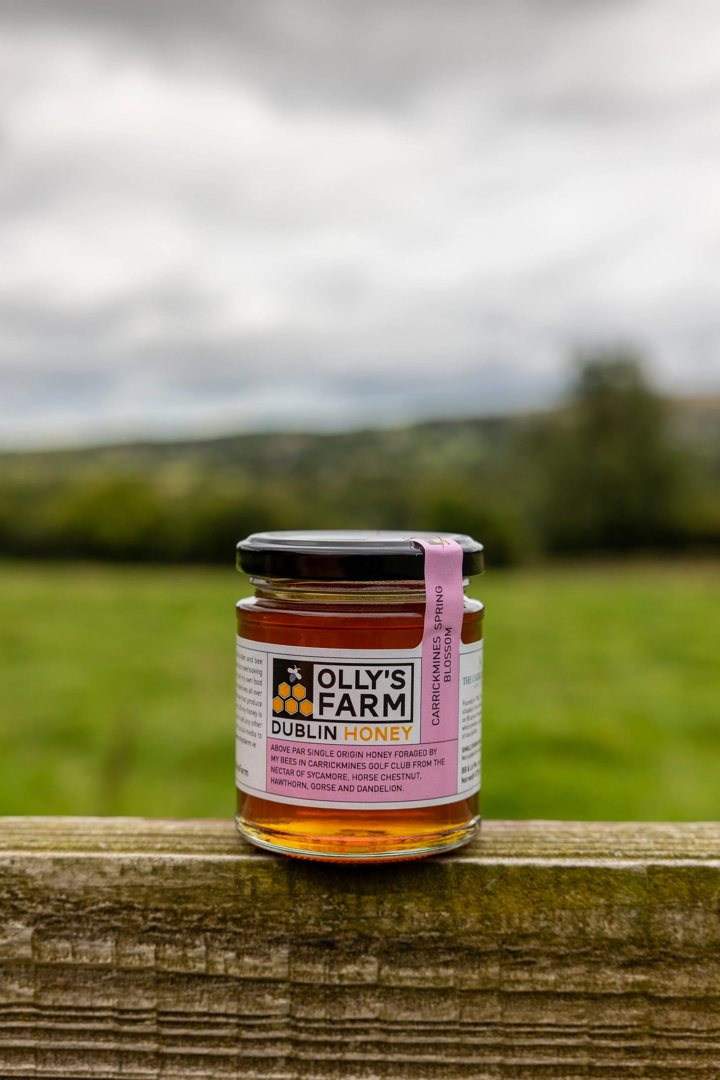 Carrickmines Spring Blossom Honey