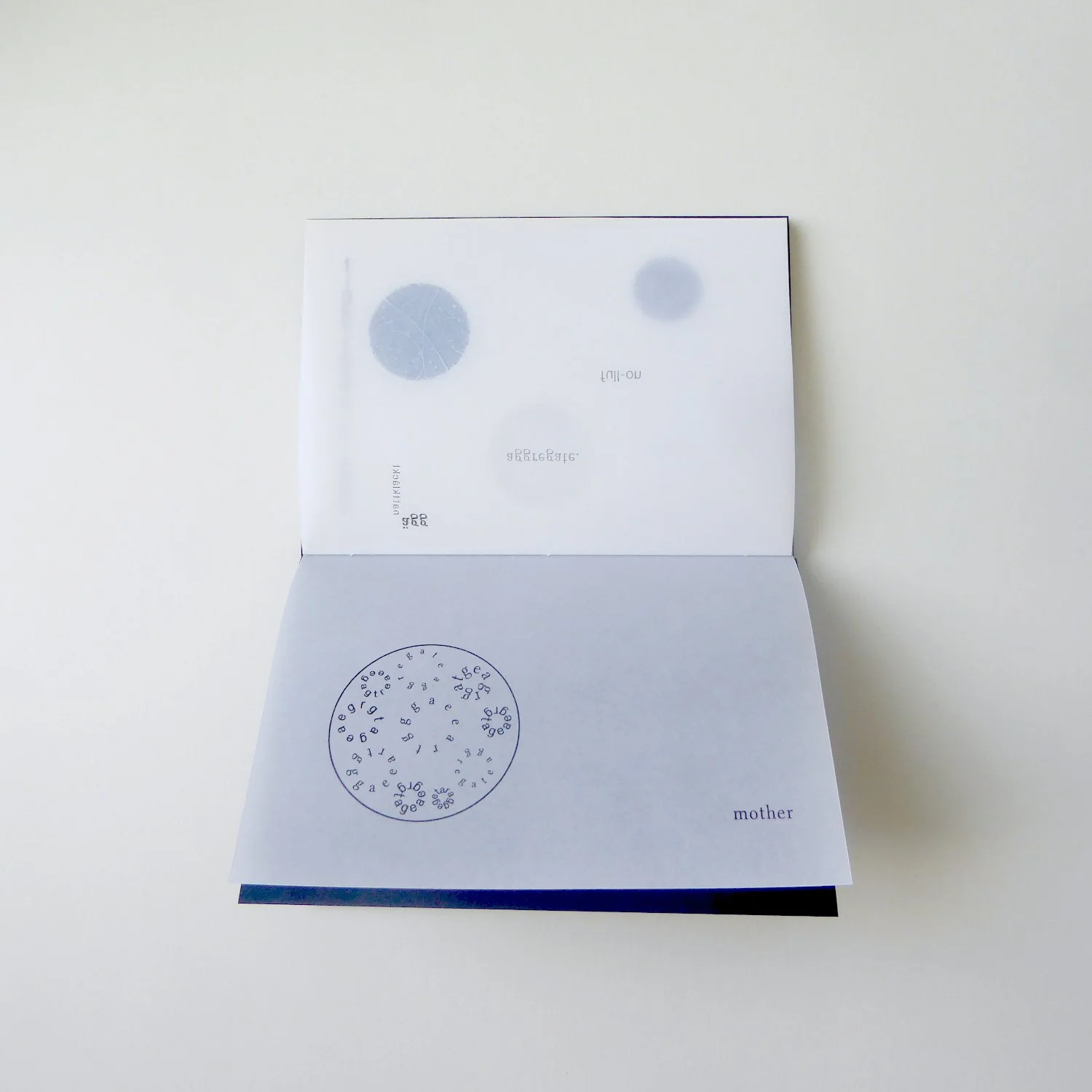 view of translucent pages