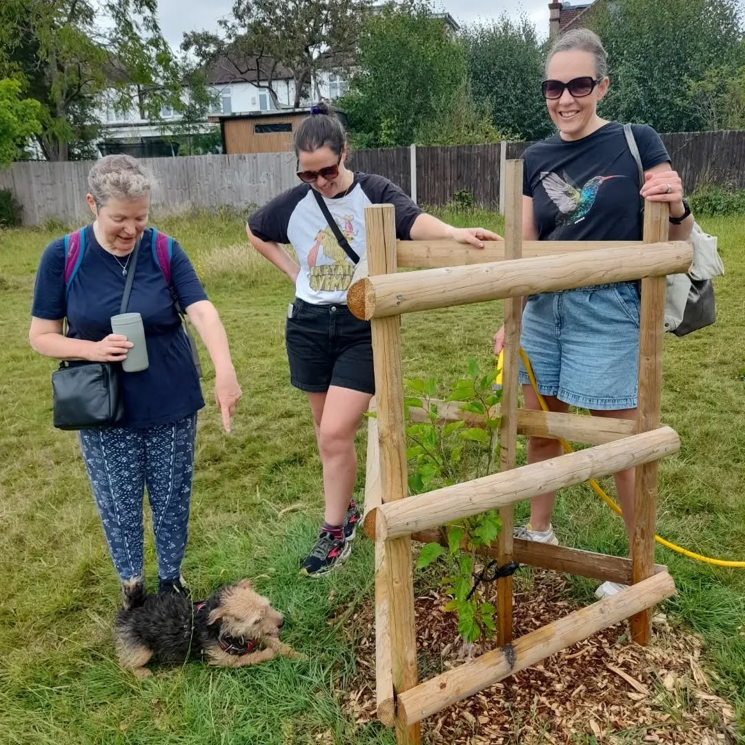 Some of the saplings in the Woodfield Community Orchard are now taller than our volunteers. We're keeping the new trees going over the hot spell with weekly watering at 10am on Saturday mornings. All help welcome! 

#woodfieldcommunityorchard 
#woodf