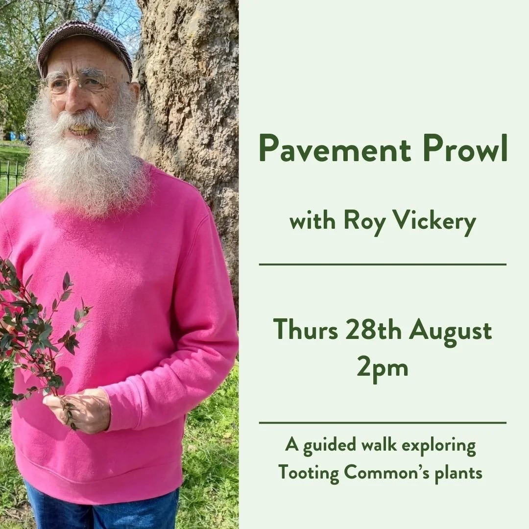 Afternoon Pavement Prowl - Guided Walk with Roy Vickery