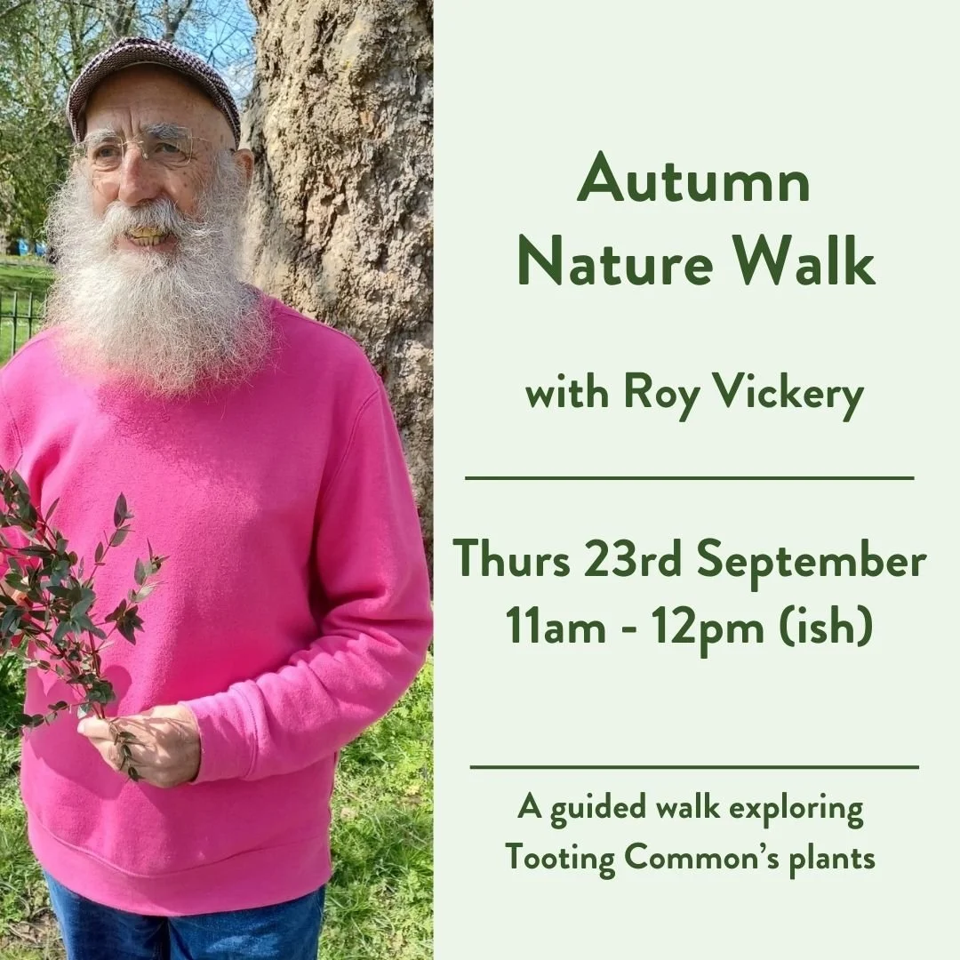Nature Walk with Roy Vickery