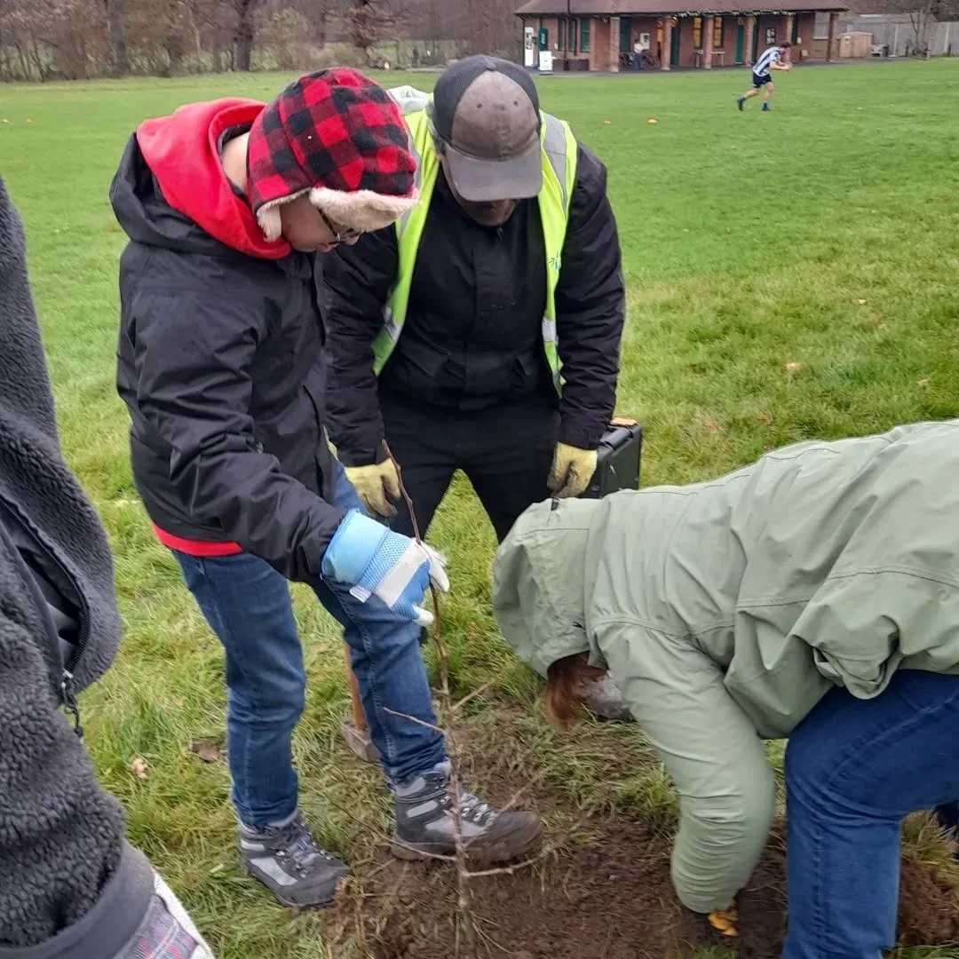 Three more trees - two pears and an apple - put down their roots in the Woodfield Community Orchard this week, with the help of students from Share Community.

See everyone in action - digging, planting and examining the potential fruit we will grow 