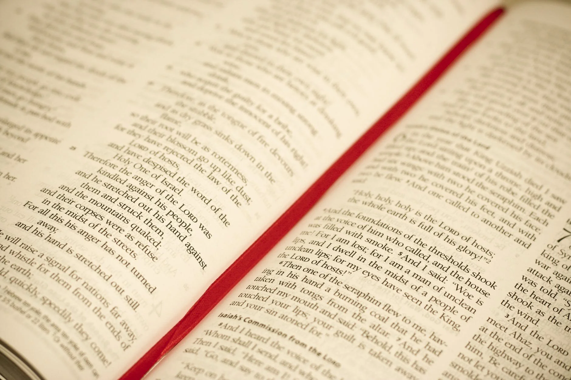 Bible2.jpeg