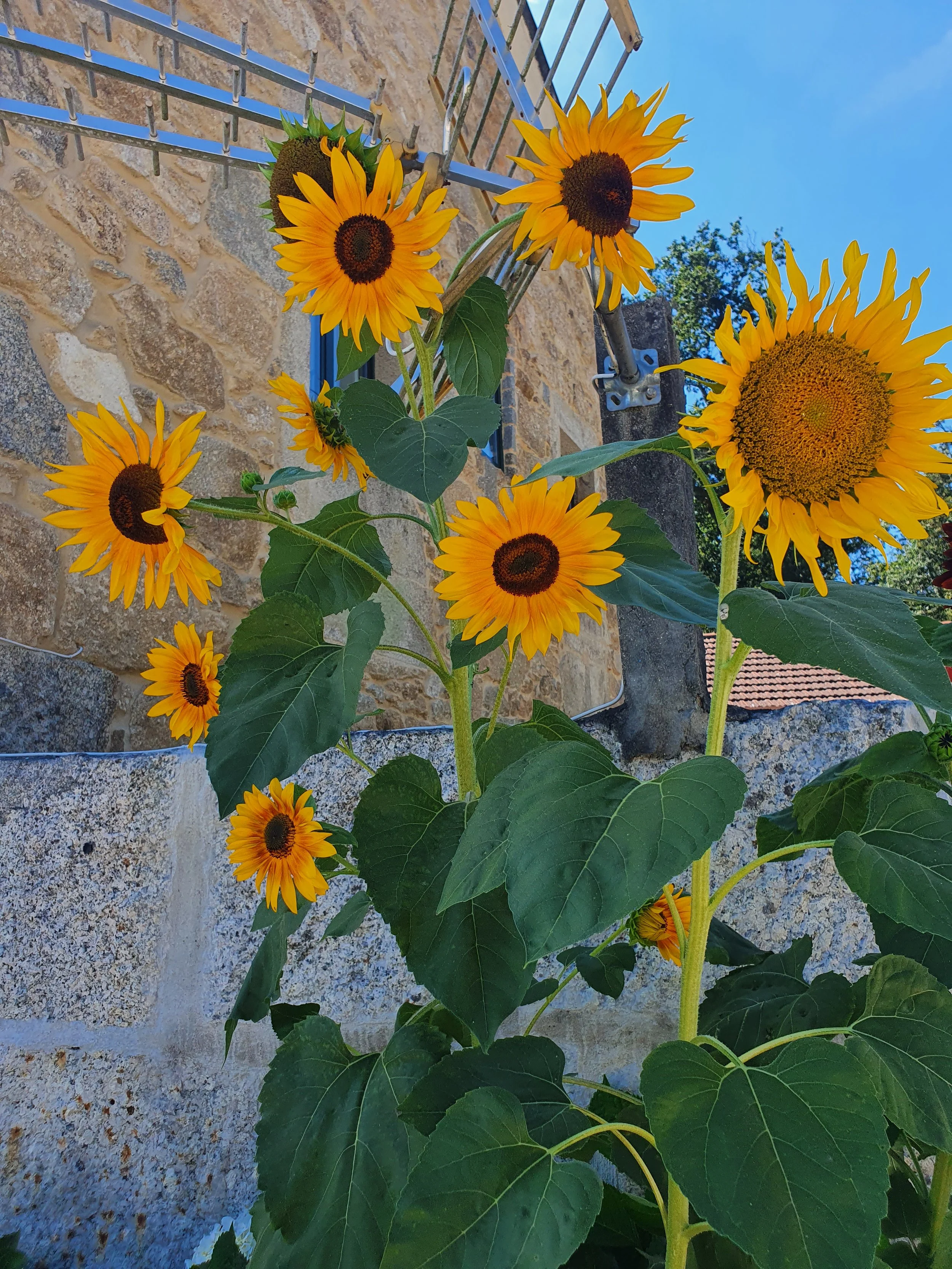 How to sound like you when someone else is writing for you