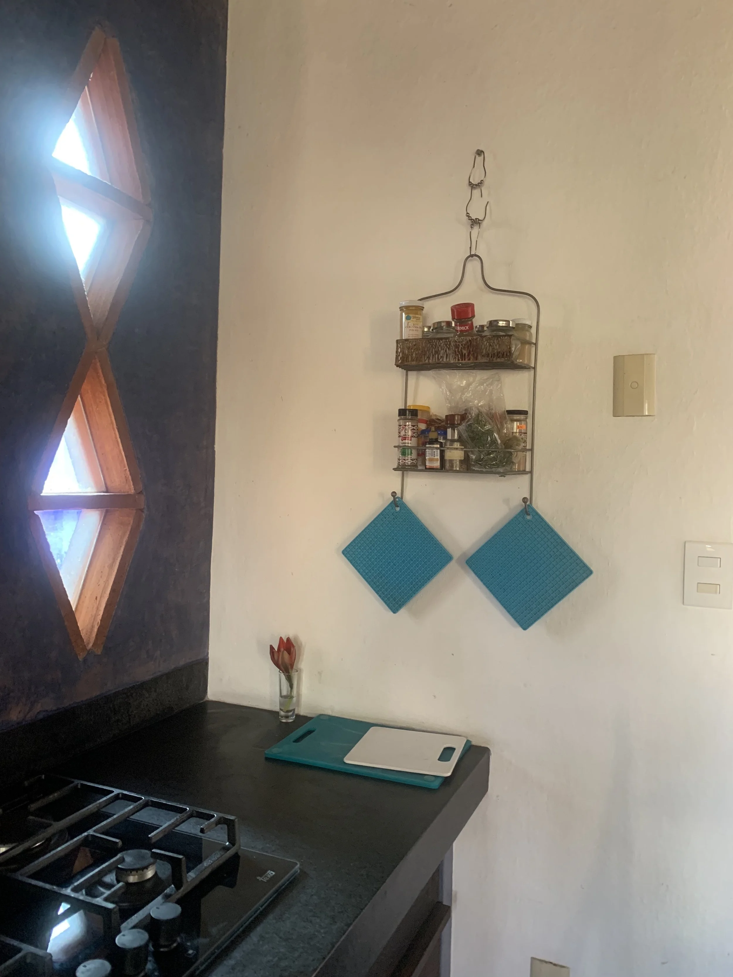 Detail of the kitchen stove and counter.