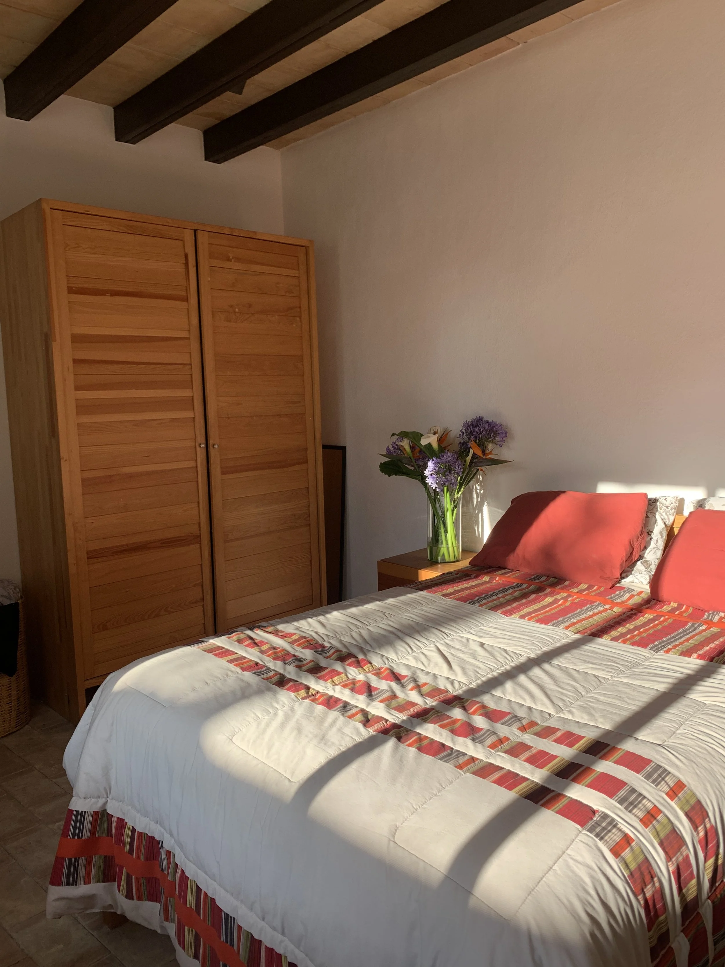 Beautiful morning sunlight in the back bedroom.