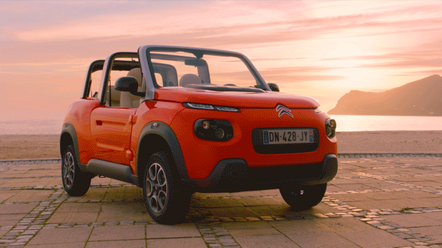  Réalisateur : Adrian Moyse 