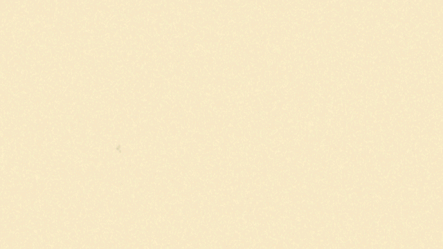 Souad Massi - Une seule étoile (Clip Officiel)